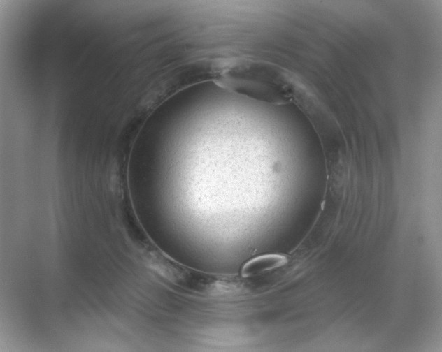 X0000071800270200607072059