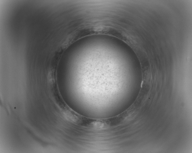 X0000071800272200607072059