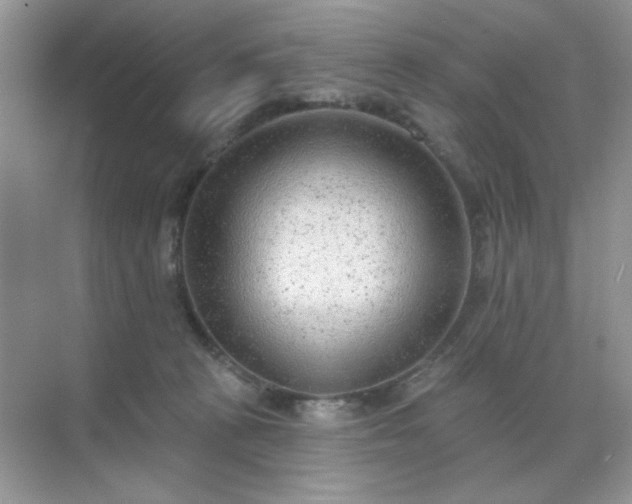 X0000071800273200607072059