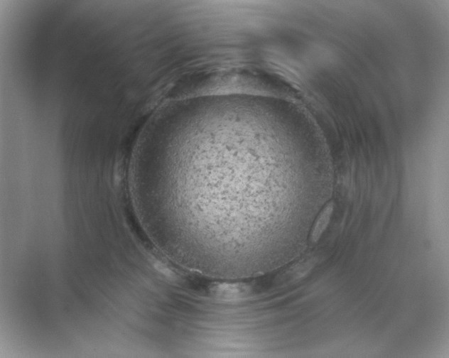 X0000071800277200607072059