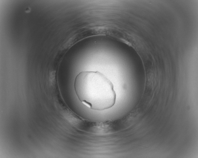 X0000071800278200607072059