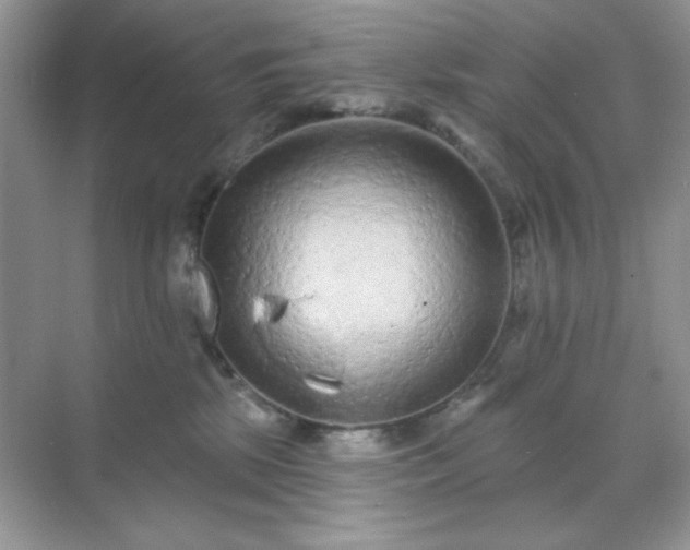 X0000071800281200607072059