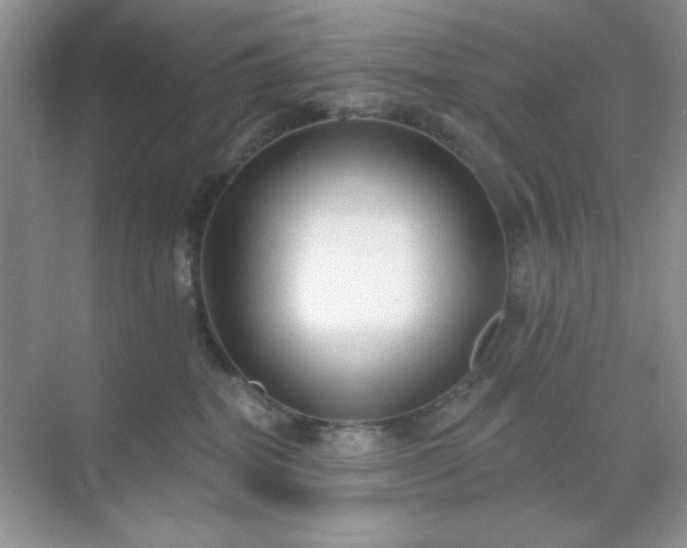 X0000071800282200607072059