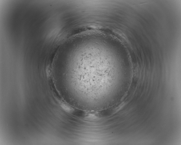 X0000071800285200607072059