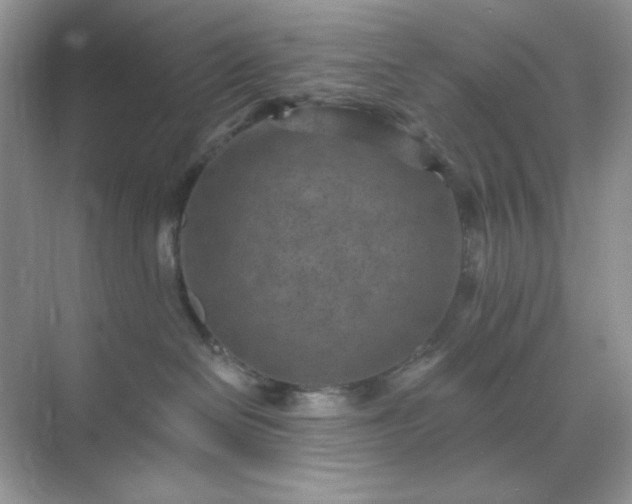 X0000071800286200607072059