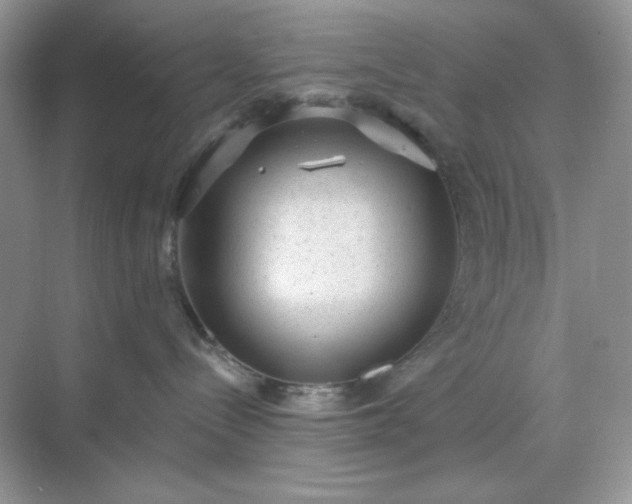 X0000071800288200607072059