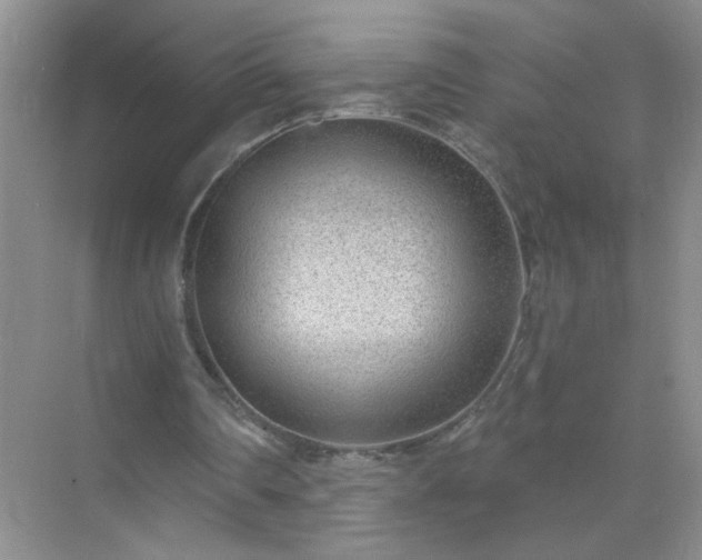 X0000071800290200607072059