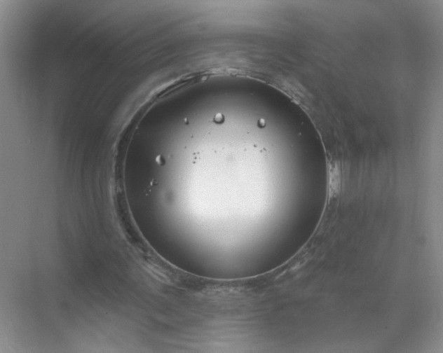 X0000071800291200607072059