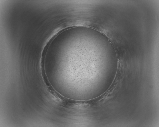 X0000071800292200607072059