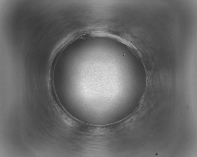 X0000071800293200607072059