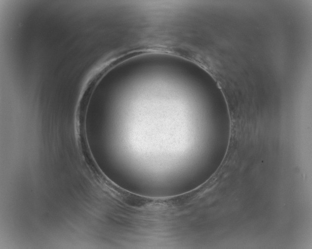 X0000071800294200607072059