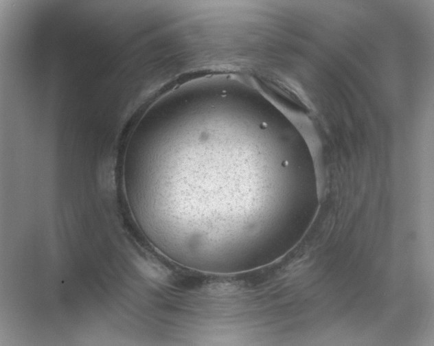 X0000071800299200607072058