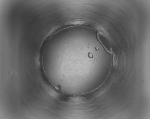 X0000071800300200607072058