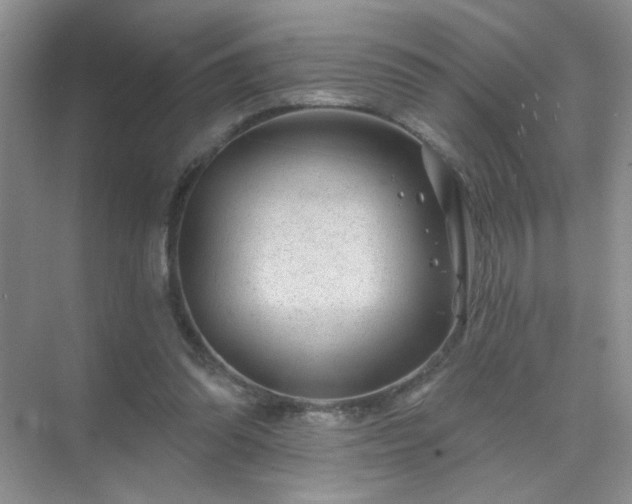 X0000071800302200607072058