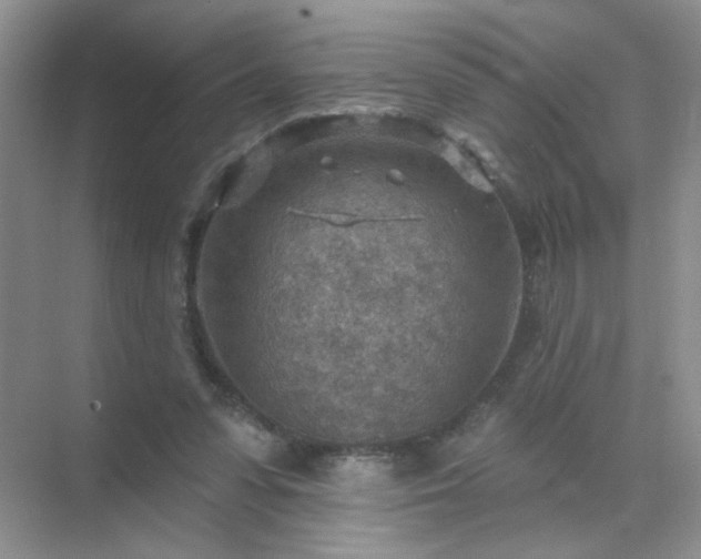 X0000071800303200607072058