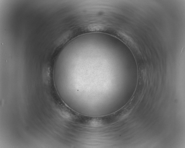 X0000071800308200607072058