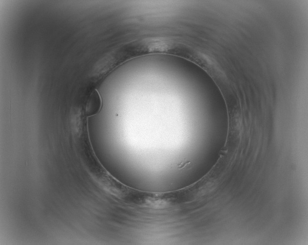 X0000071800311200607072058