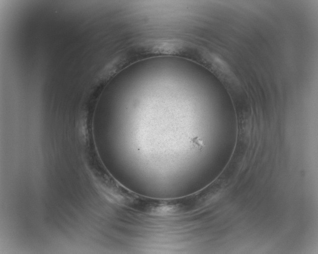 X0000071800312200607072058