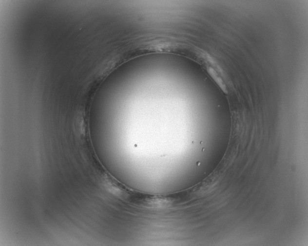 X0000071800313200607072058