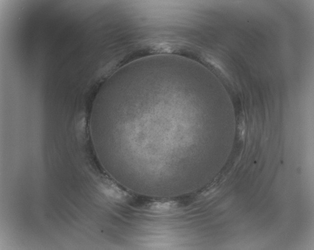 X0000071800314200607072058