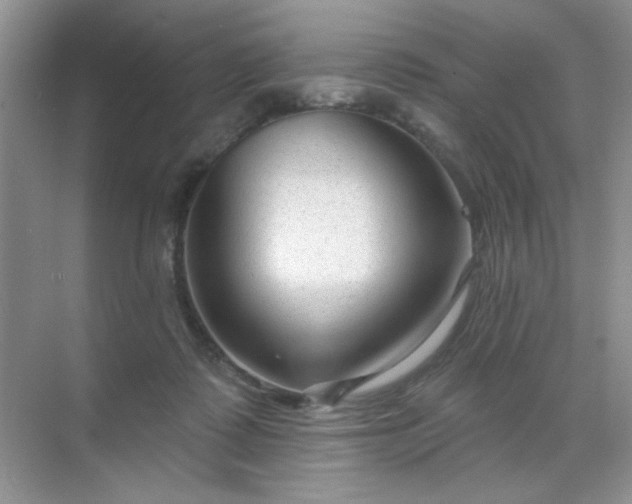 X0000071800315200607072058