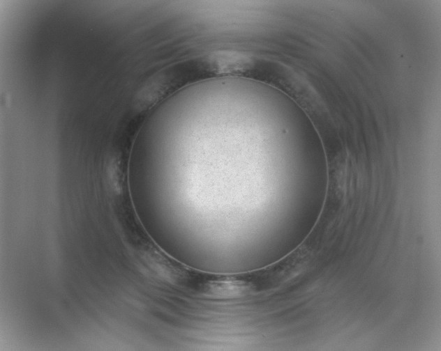 X0000071800316200607072058