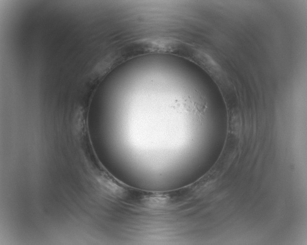 X0000071800318200607072058