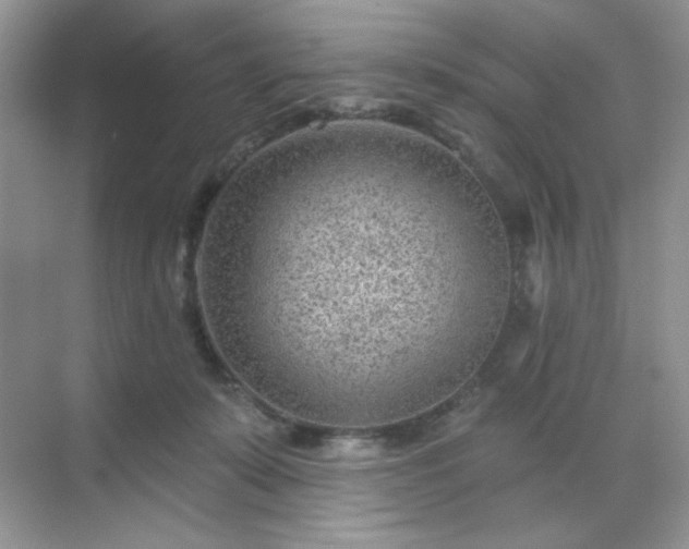 X0000071800319200607072058