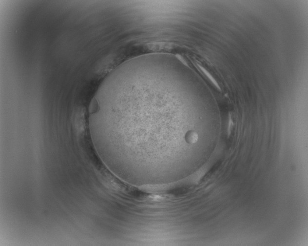 X0000071800323200607072058