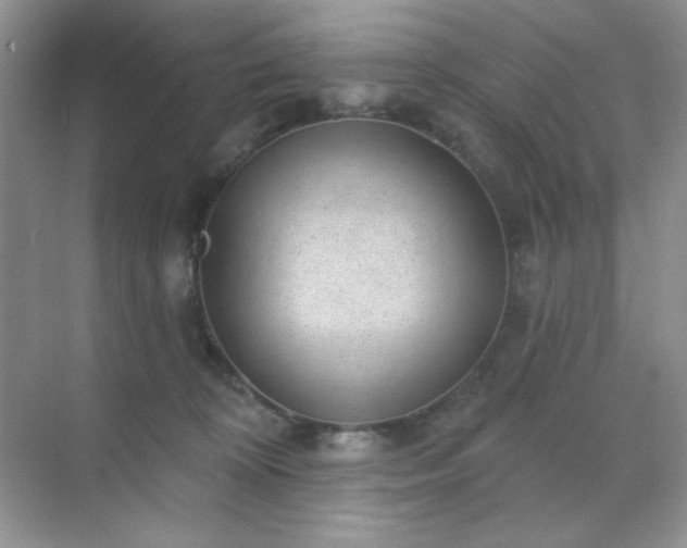 X0000071800324200607072058