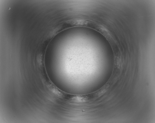 X0000071800326200607072058