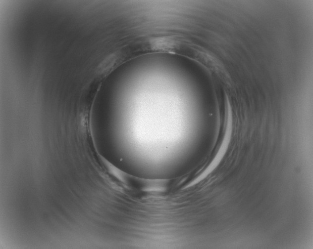 X0000071800329200607072058