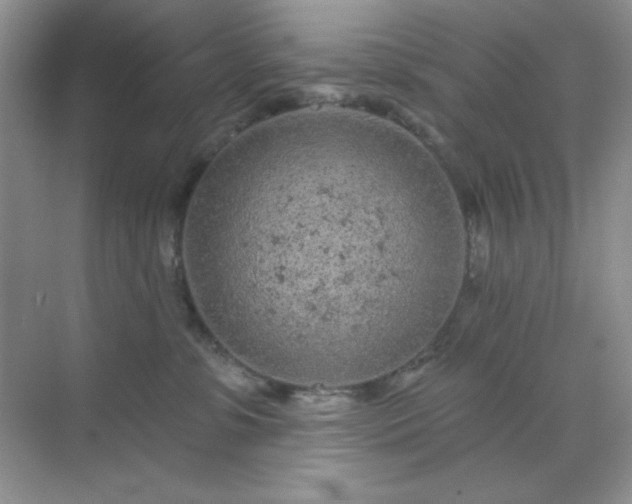 X0000071800331200607072058