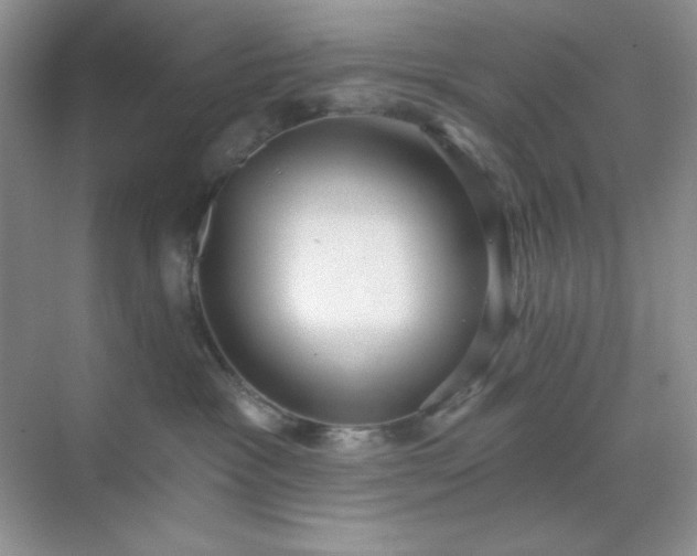 X0000071800333200607072058