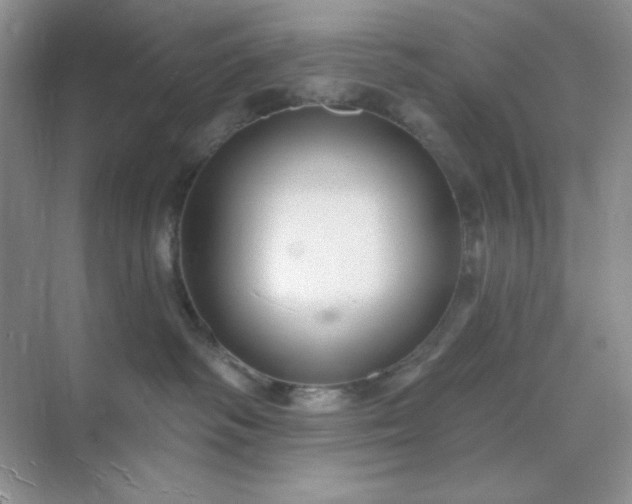 X0000071800334200607072058