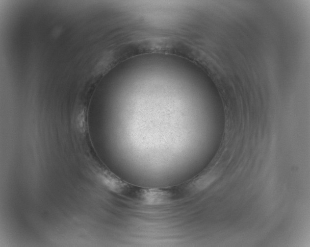 X0000071800336200607072058