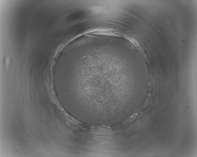 X0000071800337200607072057