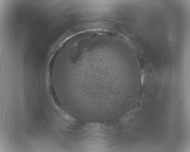 X0000071800339200607072057