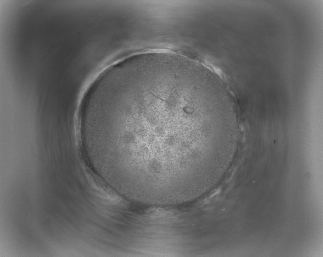 X0000071800343200607072057