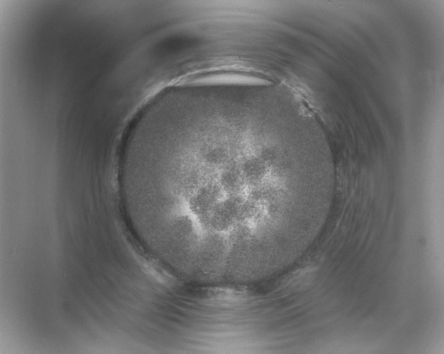 X0000071800347200607072057