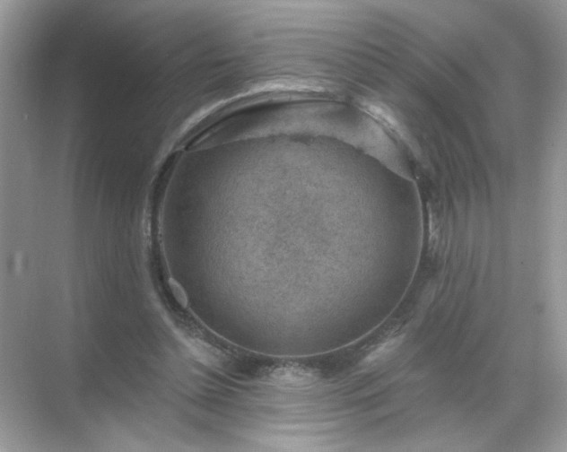 X0000071800348200607072057