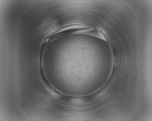 X0000071800349200607072057