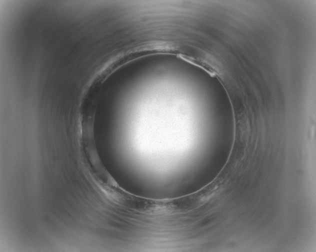 X0000071800350200607072057