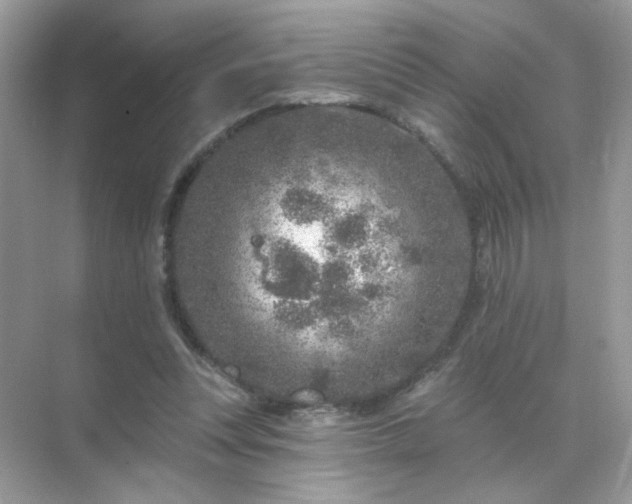 X0000071800351200607072057