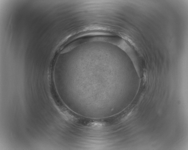 X0000071800352200607072057