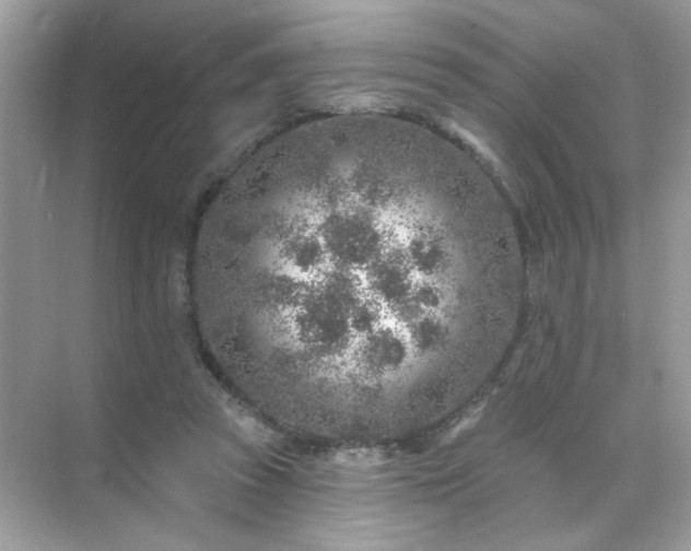 X0000071800353200607072057