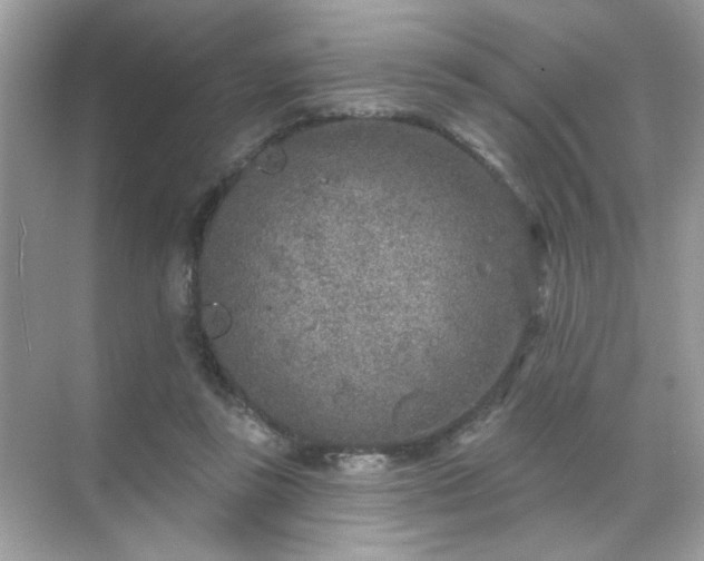 X0000071800355200607072057