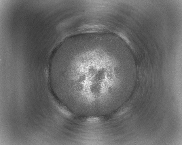 X0000071800357200607072057