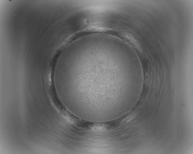 X0000071800358200607072057