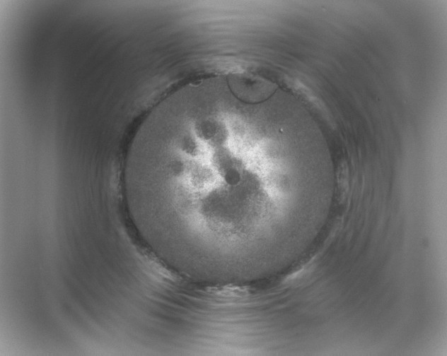 X0000071800359200607072057